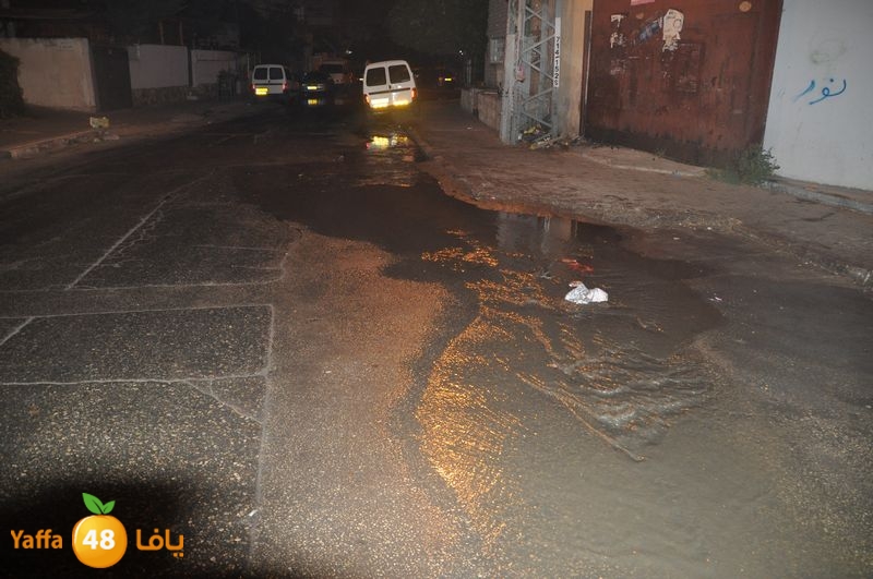 majary wa7a 1204 (7).JPG